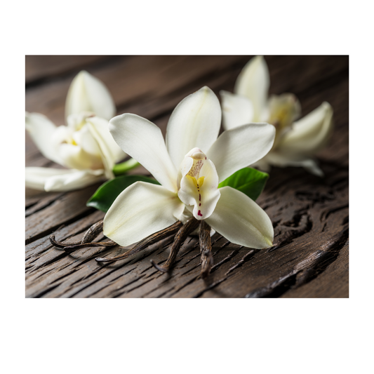 Vanilla: The Flavor That Captivates the World